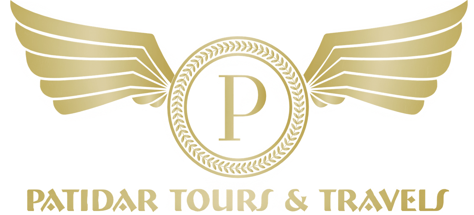 Patidar Web logo